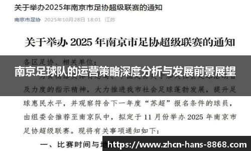 南京足球队的运营策略深度分析与发展前景展望